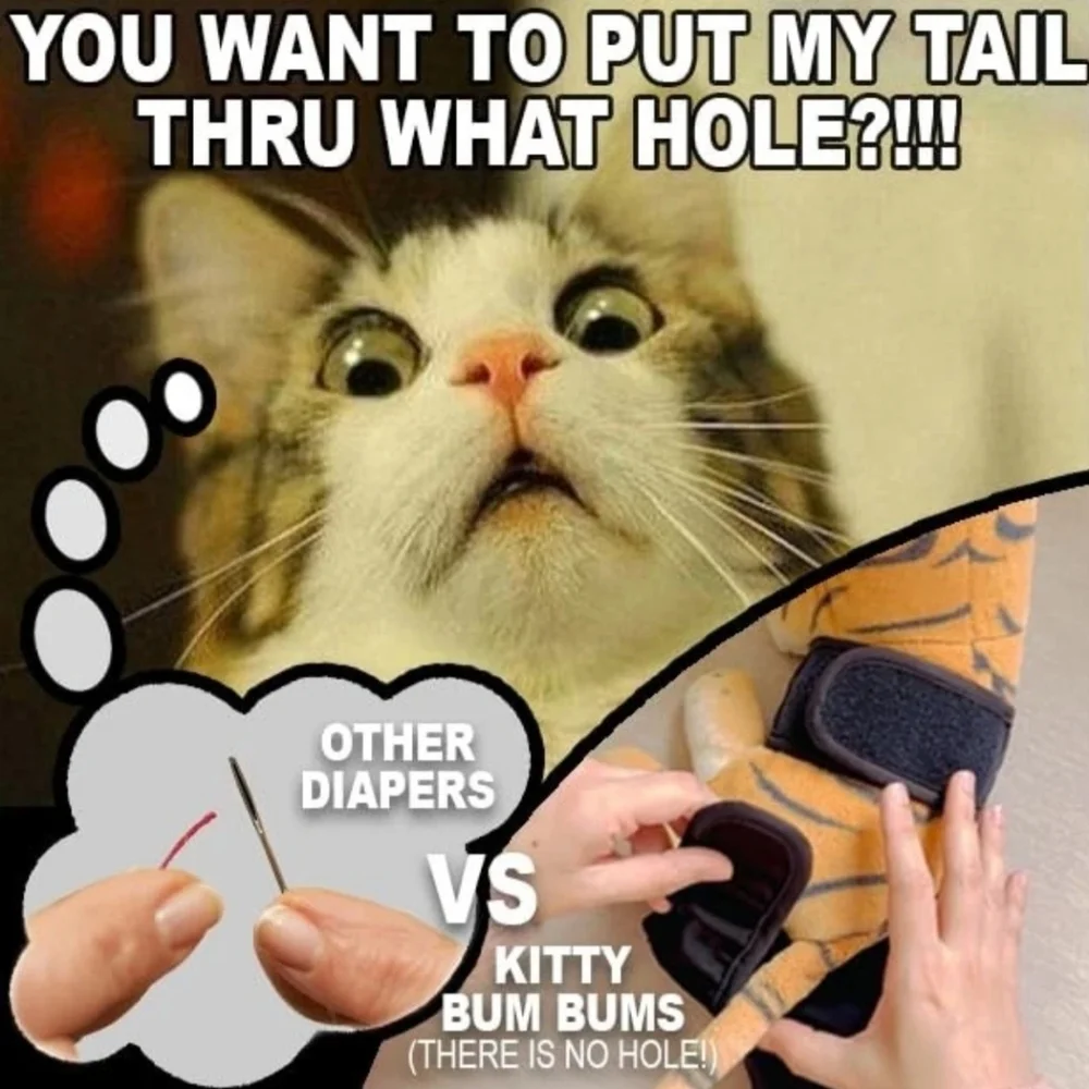 1 Kitty Bum Bums Reusable Cat Small Dog Diapers Stud Pants Prevent Pee Marking